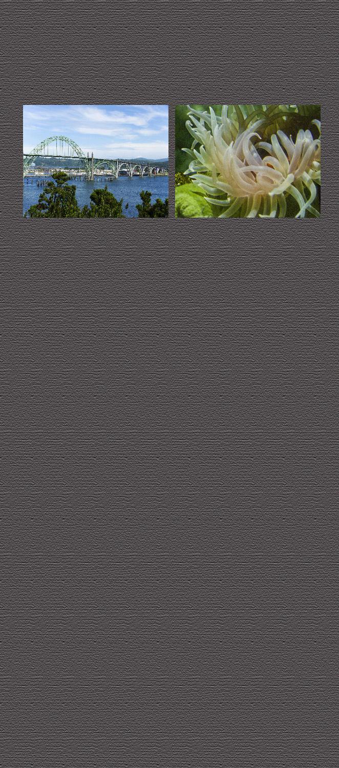 Background4wide