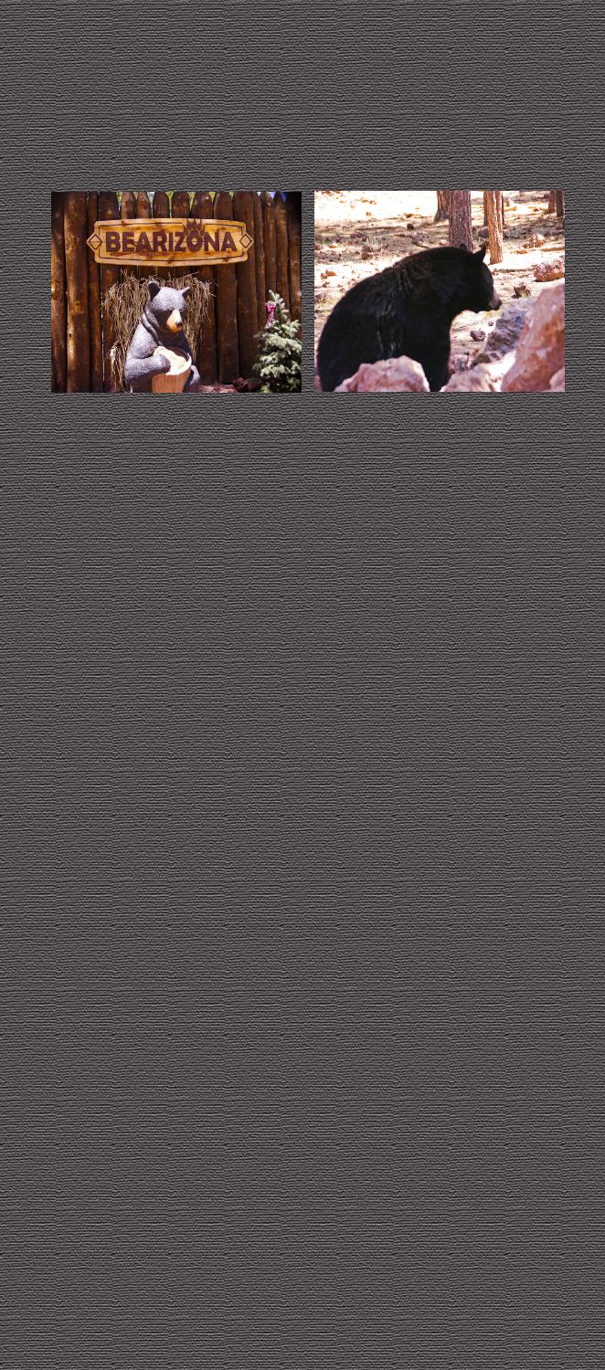 Background4wide