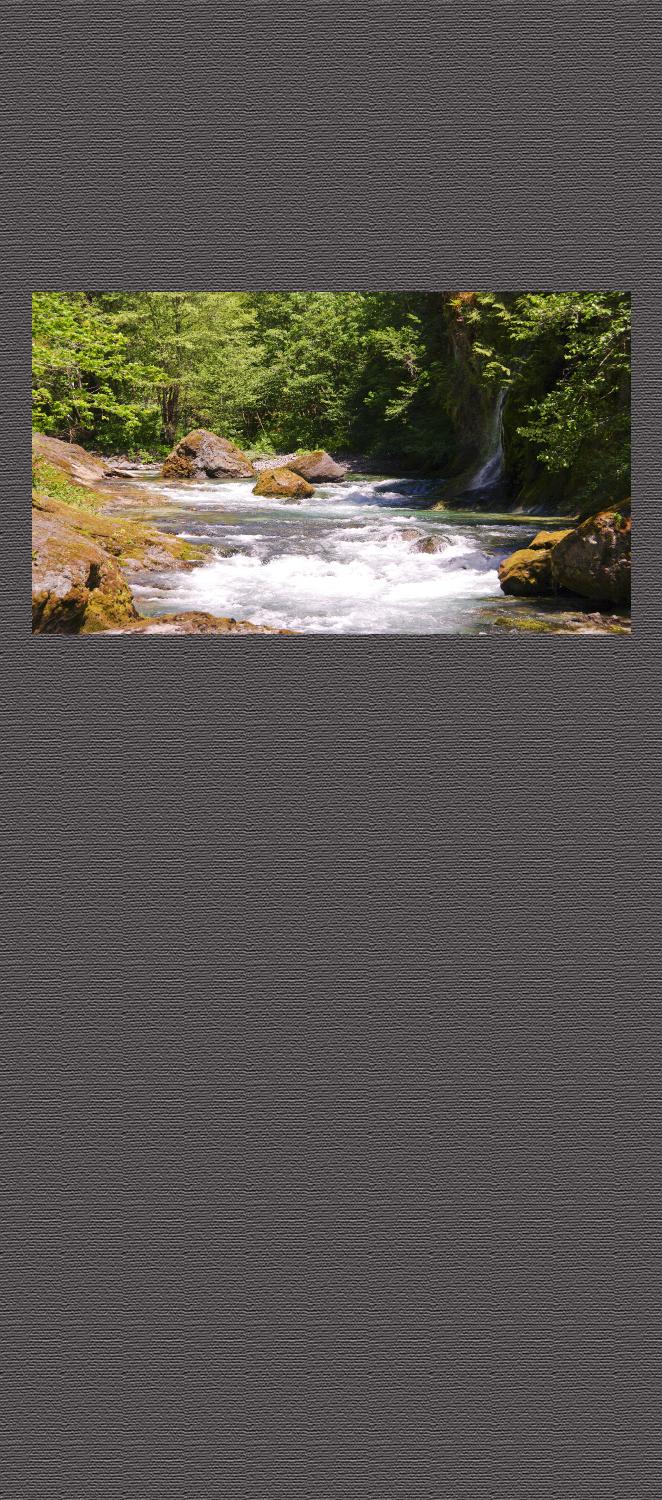 Background4wide