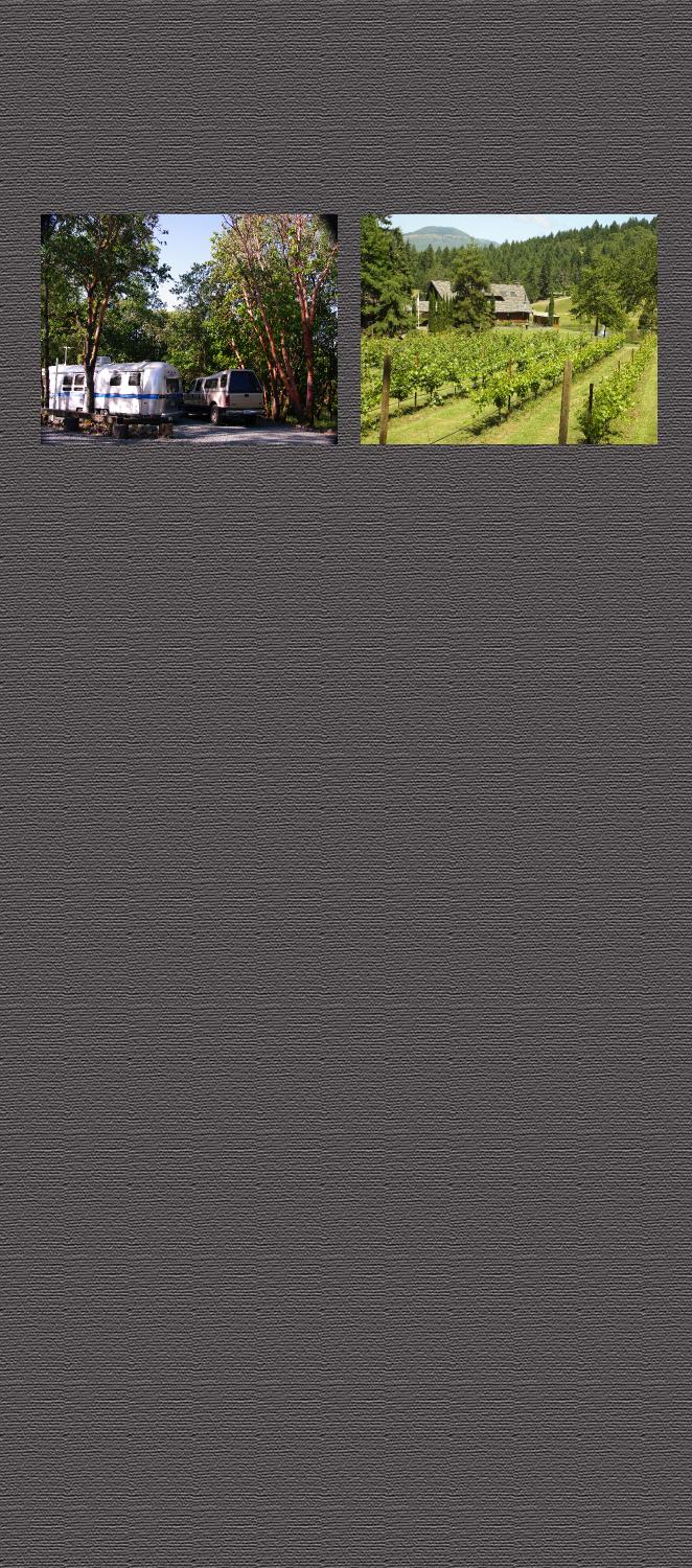 Background4wide