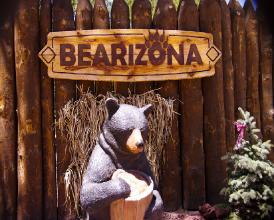 bearsign