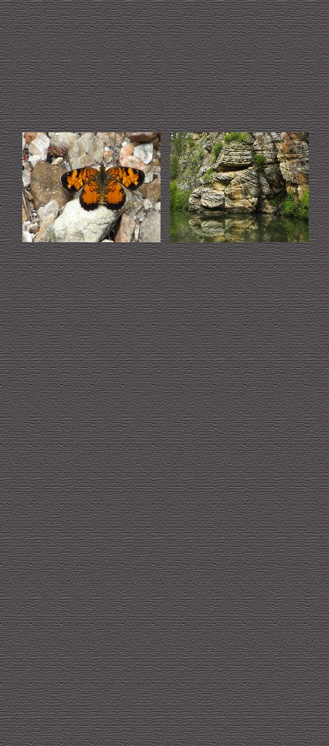 Background4wide