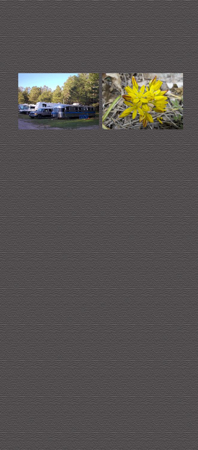 Background4wide
