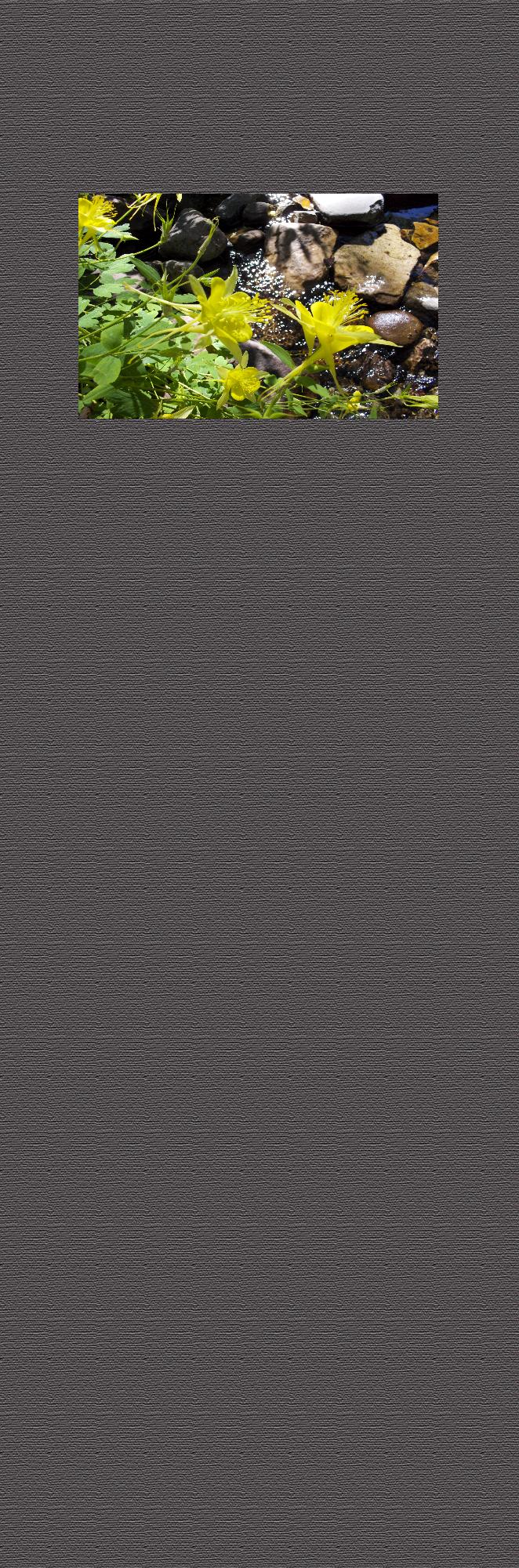 Background4wide
