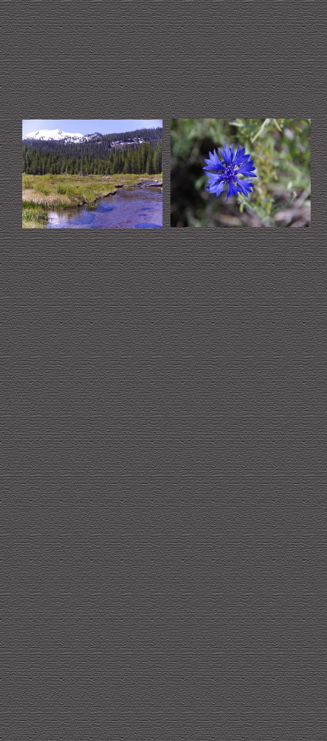Background4wide